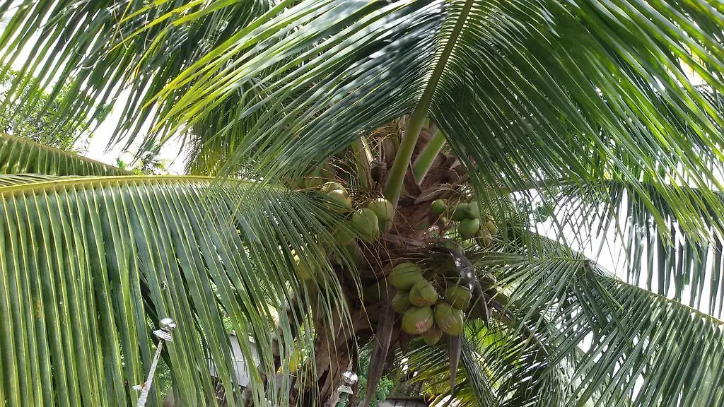 Keralan Homestay Alappuzha